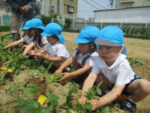 ★今週の年少組★
