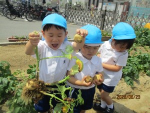 ★今週の年少組★