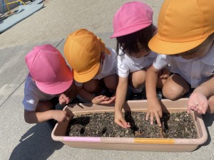 ★今週の年中組★