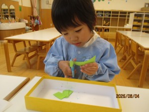 ★今週の年少組★