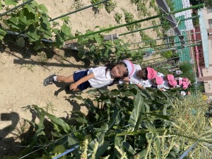 ☆今週の年中組☆