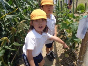 ☆今週の年中組☆