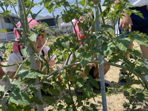 ☆今週の年中組☆