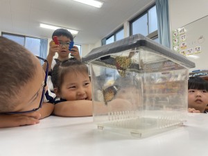 ☆今週の年中組☆