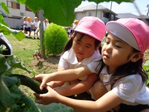 ☆今週の年中組☆