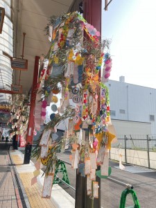 ★今週の年中組の様子★