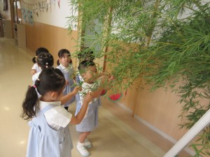 ★今週の年少組★