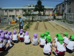 年長組／最近の様子