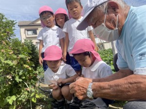 ２学期　年中組