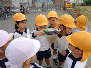 ★最近の年中組の様子★