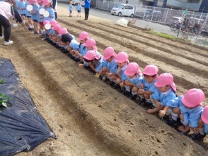 ★最近の年中組の様子★