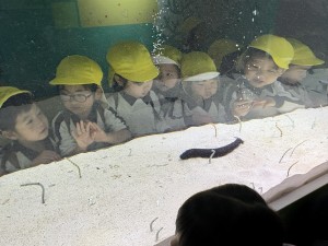 ★お別れ遠足★